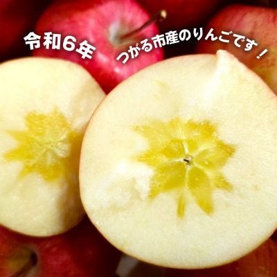 贈答用 サンふじ りんご 特A 約5kg [0720]