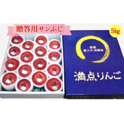 [贈答用] サンふじ「満点りんご」5kg [0721]