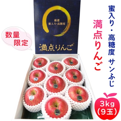 [贈答用] サンふじ「満点りんご」3kg [0725]