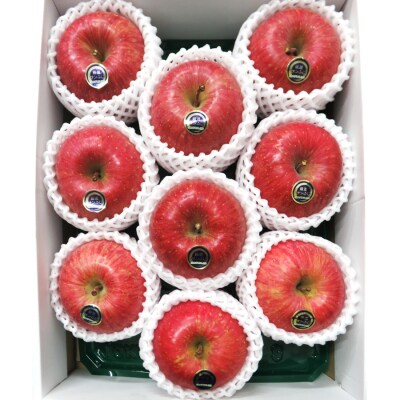 [贈答用] サンふじ「満点りんご」3kg [0725]