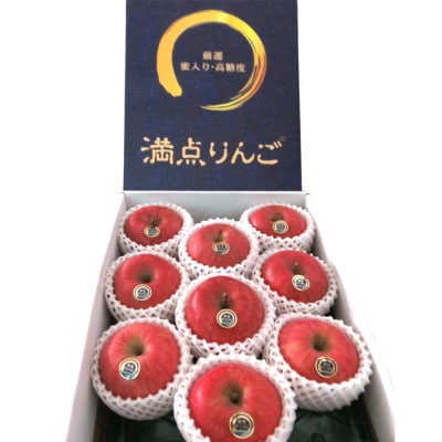 [贈答用] サンふじ「満点りんご」3kg [0725]