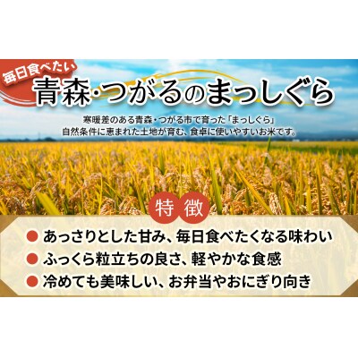 まっしぐら5kg [0906]