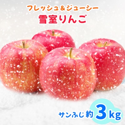 雪の冷蔵庫 雪室りんご 3kg [0741]