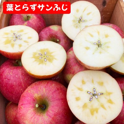 完熟!葉とらずフジと黄色のりんごセット 3kg [0742]