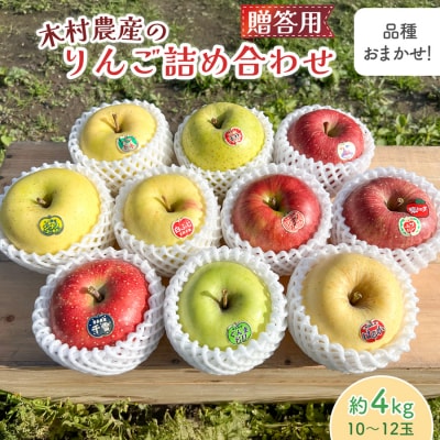 木村農産の贈答りんご約4kg (9玉から12玉) [0909]