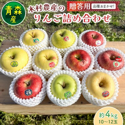 木村農産の贈答りんご約4kg (9玉から12玉) [0909]