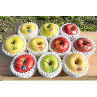 木村農産の贈答りんご約4kg (9玉から12玉) [0909]