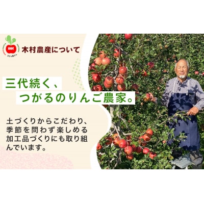 木村農産の贈答りんご約4kg (9玉から12玉) [0909]