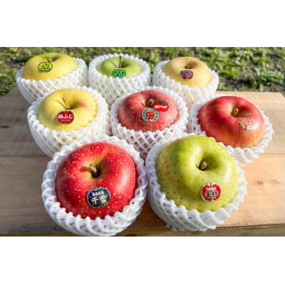 木村農産の贈答りんご約8kg (14玉から20玉) [0910]