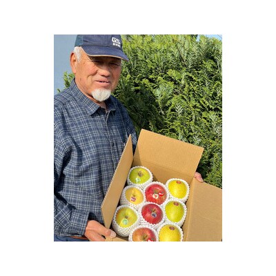 木村農産の贈答りんご約8kg (14玉から20玉) [0910]