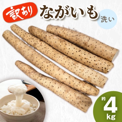 訳ありながいも 約4kg(洗い) [0788]