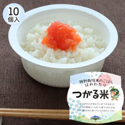 特別栽培米のパックごはん はれわたり 10個入り [0791]