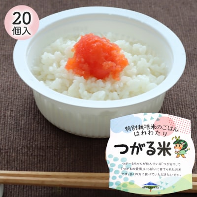 特別栽培米のパックごはん はれわたり 20個入り [0792]