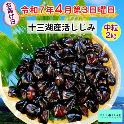 さとうしじみ屋の十三湖産活しじみ(中粒2kg) [0797]