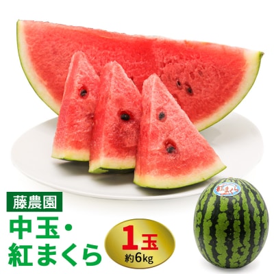 スイカ (中玉) 紅まくら1玉 [0962]