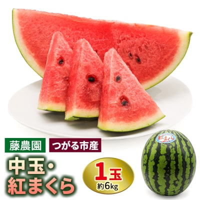 スイカ (中玉) 紅まくら1玉 [0962]