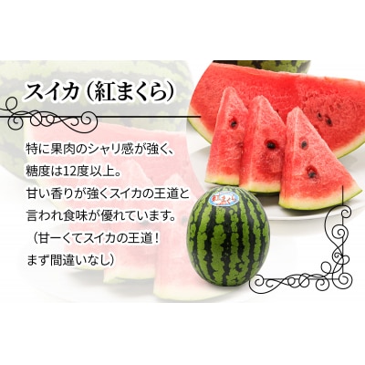 スイカ (中玉) 紅まくら1玉 [0962]