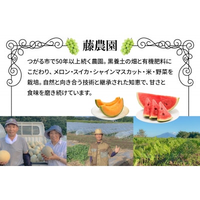 スイカ (中玉) 紅まくら1玉 [0962]