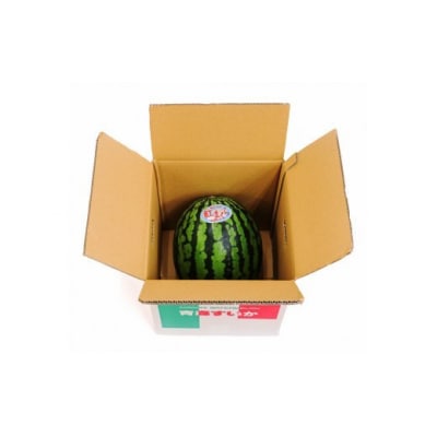 スイカ (中玉) 紅まくら1玉 [0962]