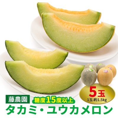 メロン [タカミ] [ユウカ] 5玉セット [0963]