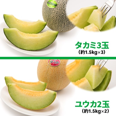 メロン [タカミ] [ユウカ] 5玉セット [0963]