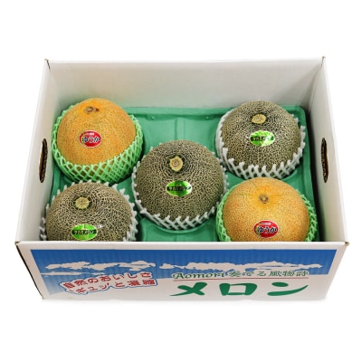 メロン [タカミ] [ユウカ] 5玉セット [0963]