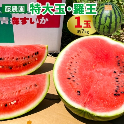スイカ (特大玉) 羅王 1玉 [0835]