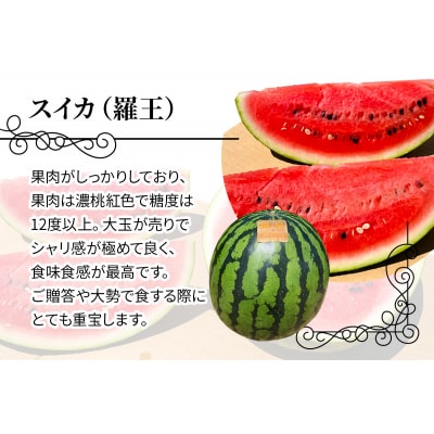 スイカ (特大玉) 羅王 1玉 [0835]