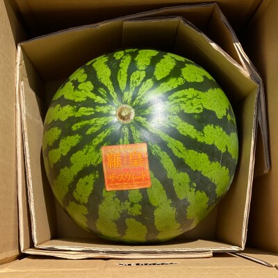 スイカ (特大玉) 羅王 1玉 [0835]
