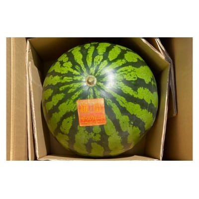 スイカ (特大玉) 羅王 1玉 [0835]