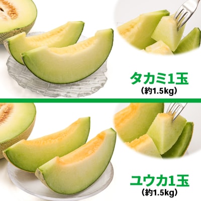 メロン [タカミ] [ユウカ] 2玉セット [0837]
