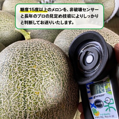 メロン [タカミ] [ユウカ] 2玉セット [0837]