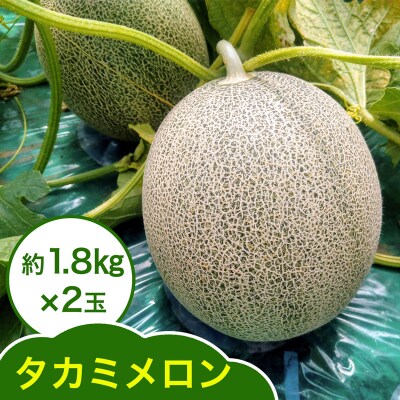 タカミ メロン 約1.8kg×2玉 [0858]