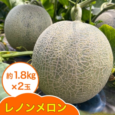 レノン メロン 約1.8kg×2玉 [0859]