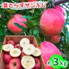 完熟!葉とらずサンふじ 3kg [0890]