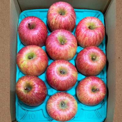 完熟!葉とらずサンふじ 3kg [0890]