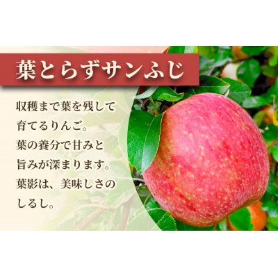 完熟!葉とらずサンふじ 3kg [0890]