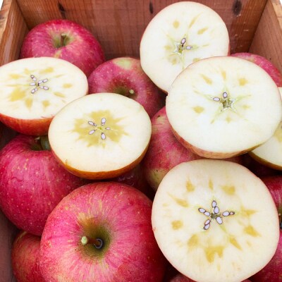 完熟!葉とらずサンふじ 3kg [0890]