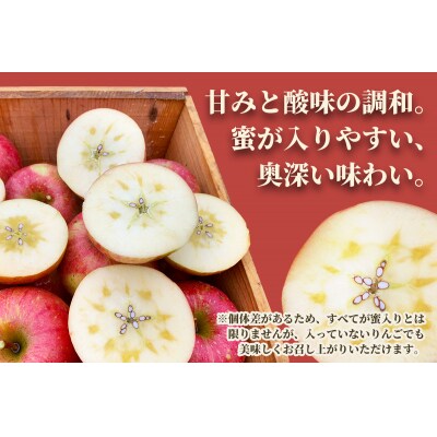 完熟!葉とらずサンふじ 3kg [0890]