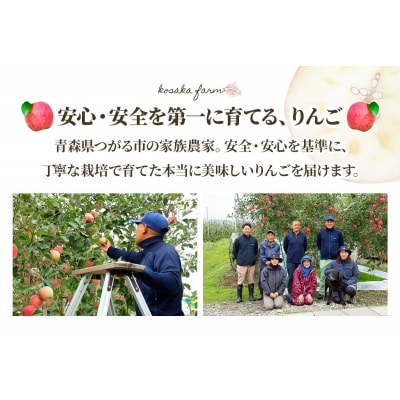 完熟!葉とらずサンふじ 3kg [0890]