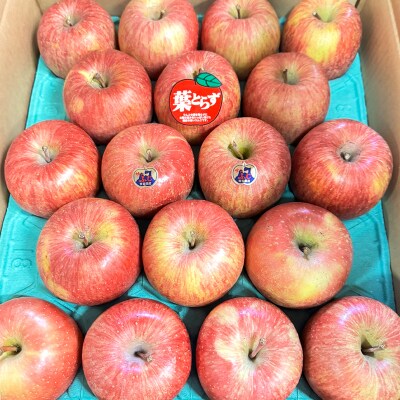 完熟!葉とらずサンふじ 5kg [0891]