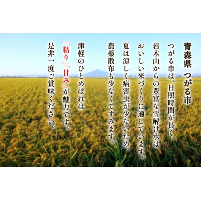 つがる市産「津軽のひとめぼれ」5kg [0896]