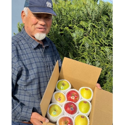 りんご詰合せ約6kg・りんご瓶ジュースセット2本 [0913]