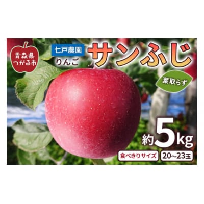 りんご サンふじ 葉取らず 食べきりサイズ 約5kg (20玉から23玉) [0927]