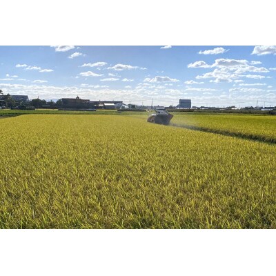 令和7年産 つがる市産 はれわたり 白米 10kg [0933]