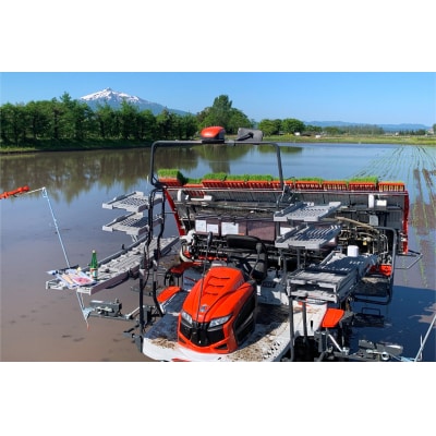 令和7年産 つがる市産 まっしぐら 白米 3kg [0936]