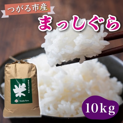 令和7年産 つがる市産 まっしぐら 白米 10kg [0938]