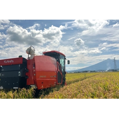 令和7年産 つがる市産 まっしぐら 白米 10kg [0938]