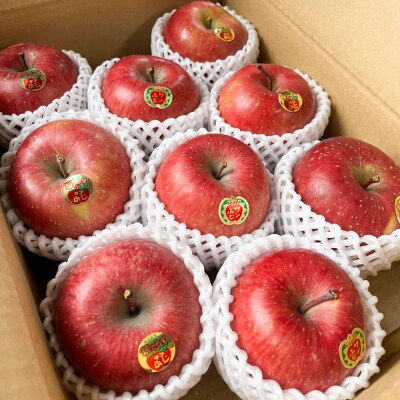 木村農産のサンふじ 約3kg (9から10玉) [0947]