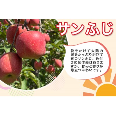 木村農産のサンふじ 約3kg (9から10玉) [0947]